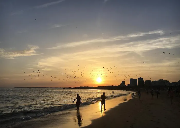 T1 Com Piscina E Vista Mar - Da Rocha 아파트 *