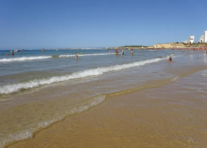 T1 Com Piscina E Vista Mar - Da Rocha 포티마오